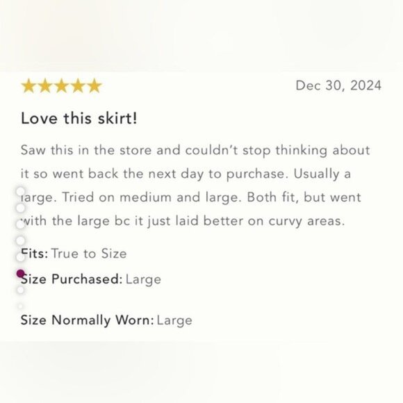 NWT Size XL - By Anthropologie Sequin Lace Midi Skirt - Picture 4 of 16